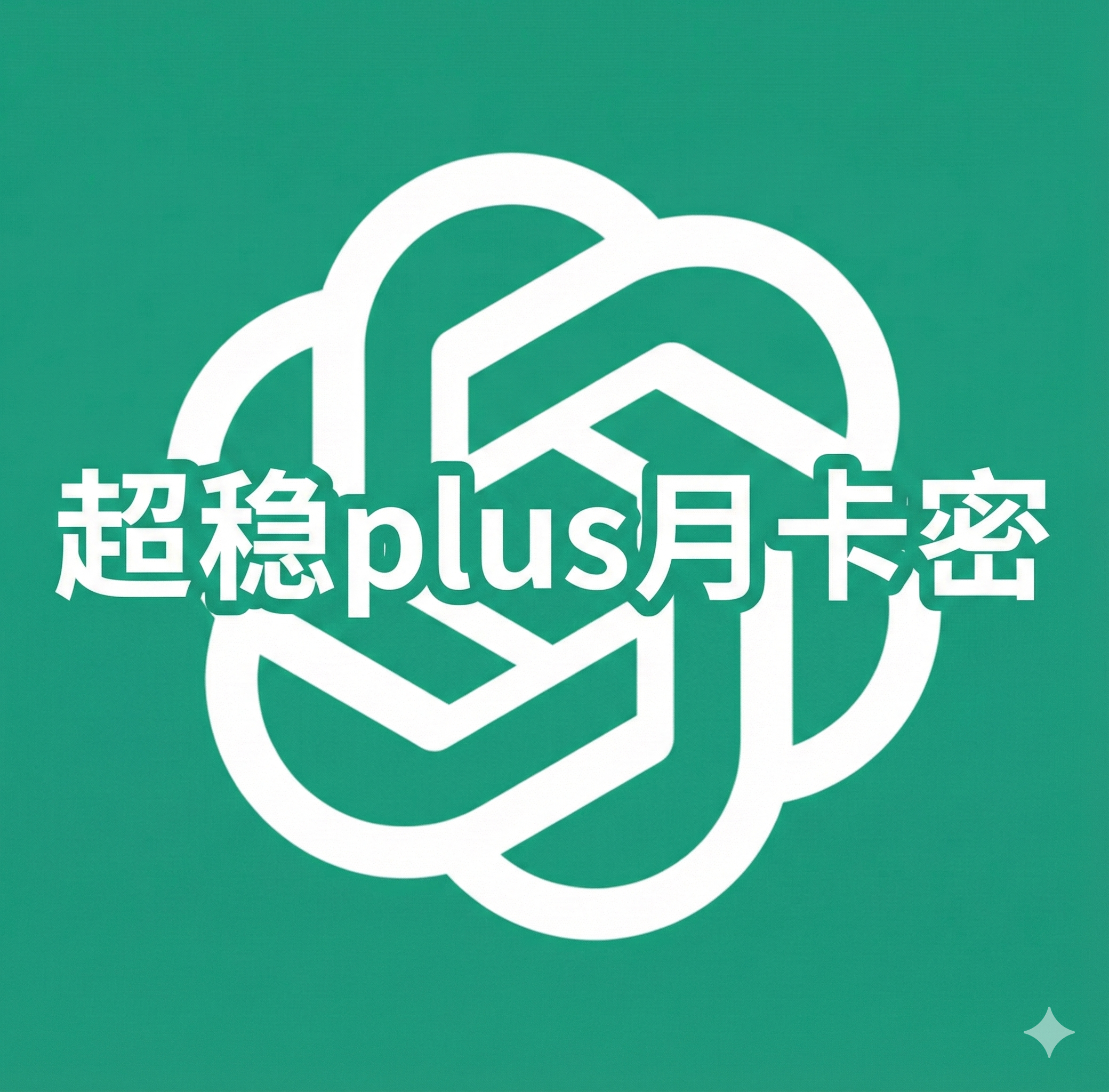 Plus原价超稳自助充